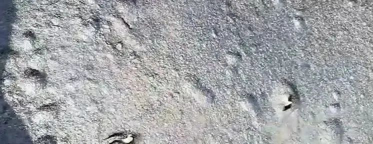 (圖:道康寧DC-65消泡劑應(yīng)用場景)