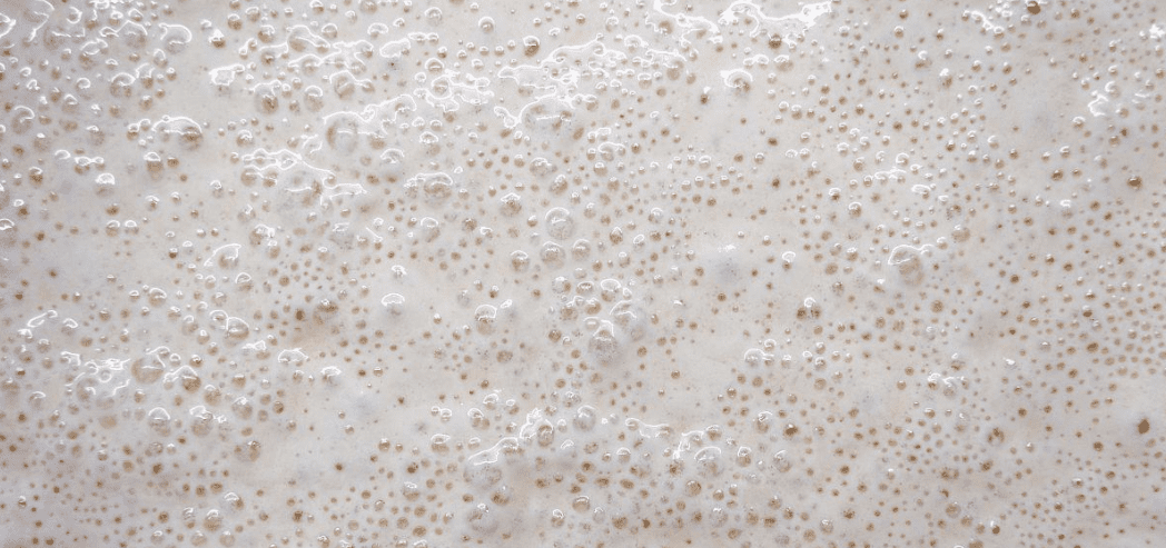 (圖:大腸桿菌發(fā)酵起泡)